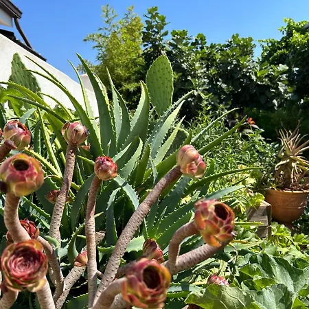 Bed & Breakfast Tramontana Tre Archi